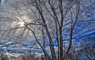 North Carolina Winter Activities