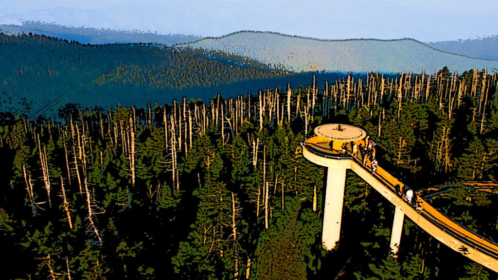 Clingsman Dome