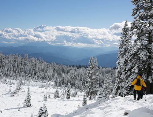 Winter Hiking in Haywood County