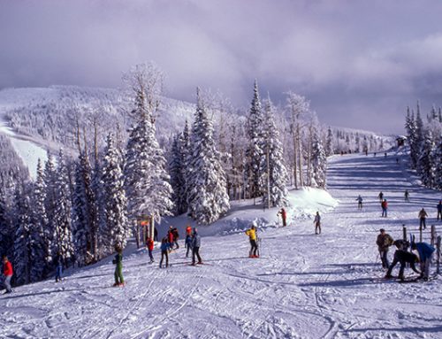 Skiing at Cataloochee Ski Resort