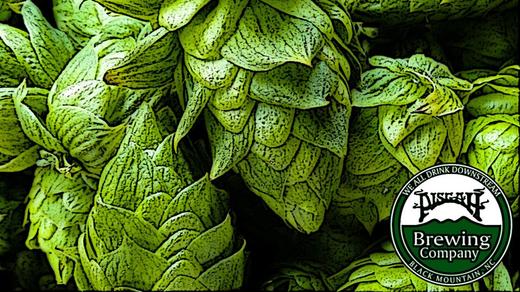 Pisgah Brewing Company Taproom