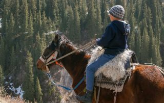 maggie valley horseback riding