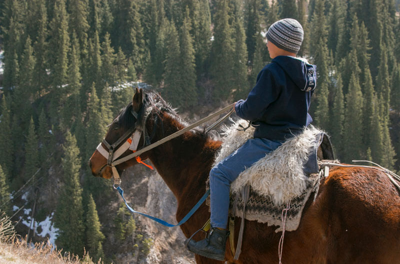 maggie valley horseback riding