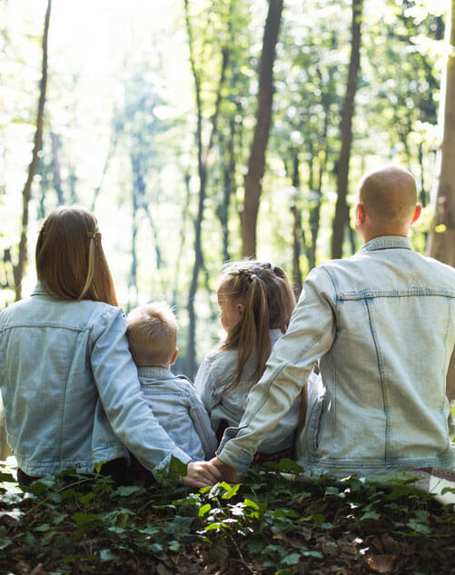 north carolina tourist attractions