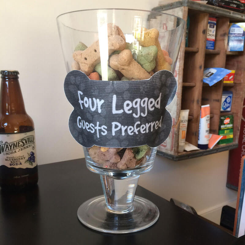 Pet-Friendly_Meadowlark pet friendly hotels in maggie valley nc