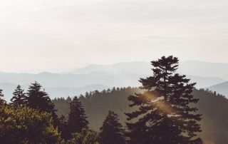 cities near cherokee nc