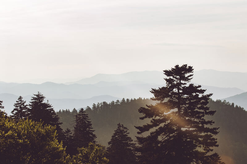 cities near cherokee nc