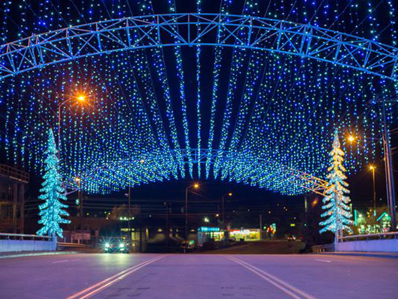 Winterfest Driving Tour of Lights