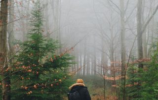 fun things to do in nc mountains