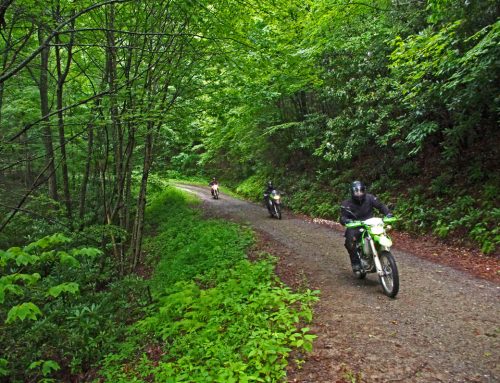Cataloochee Valley Ride