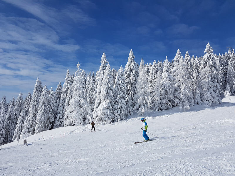 Skiing in maggie valley