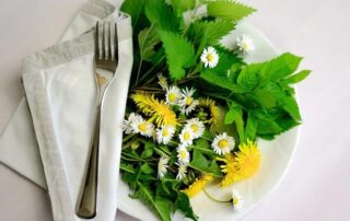 Edible plants in North Carolina