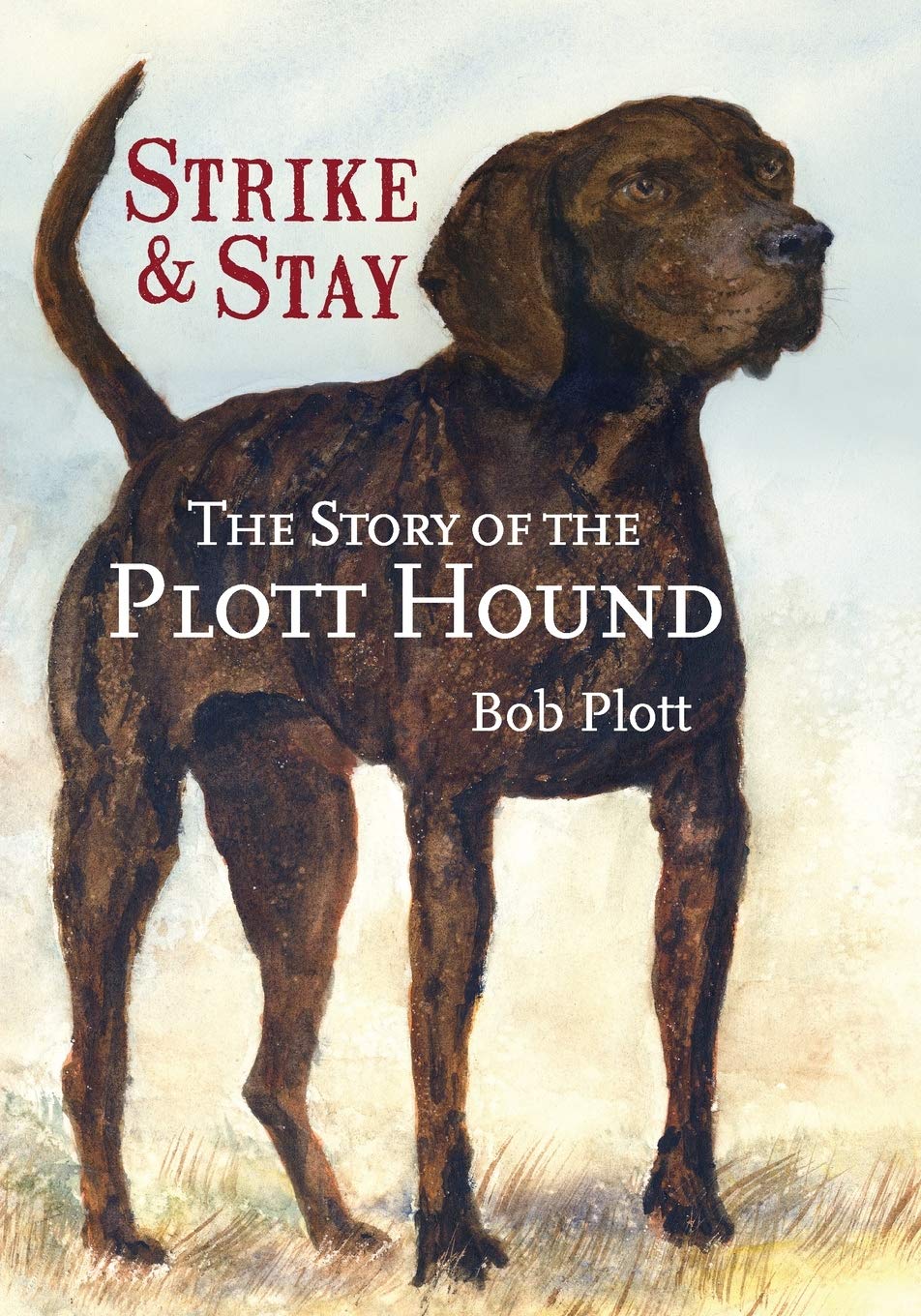Plott hound