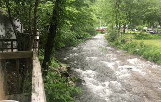 Eco-friendly hotels near maggie valley