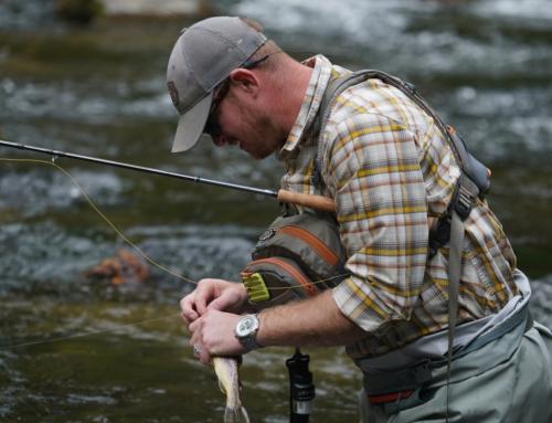 Fly Fishing & Trout Fishing in Maggie Valley, NC: A Year-Round Angler’s Paradise