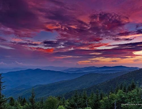 Your Ultimate Guide to Summer in the Great Smoky Mountains