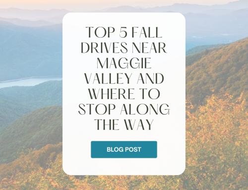 Top 5 Fall Drives Near Maggie Valley and Where to Stop Along the Way