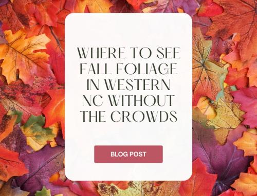 Where to See Fall Foliage in Western NC Without the Crowds